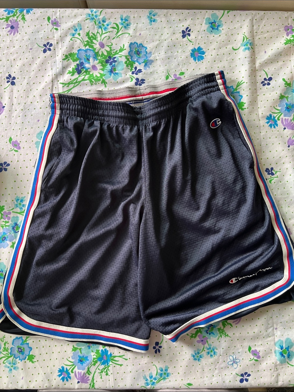 Vintage Champion Stripe Border Gym Mesh Shorts - M